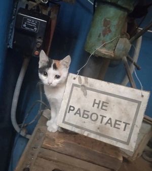 �� ��������