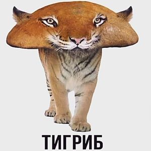 ������