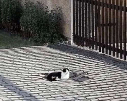 �������������� ���
