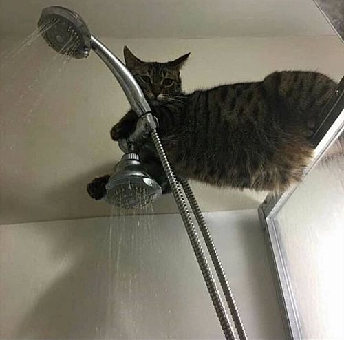 � ���� � �����