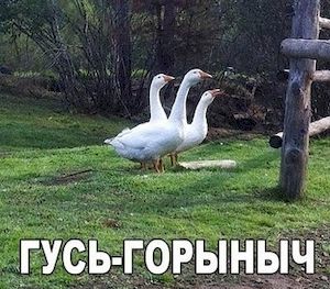 ����-�������