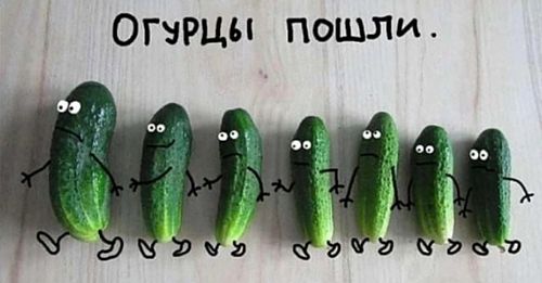 ������ �����