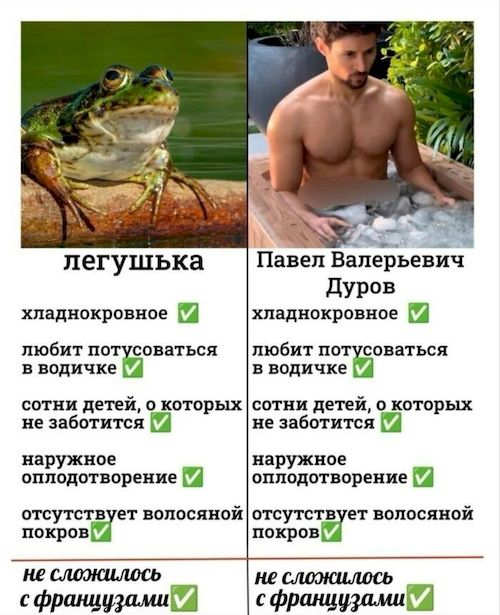 �������� � �����