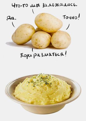 ���������� ���� ���������