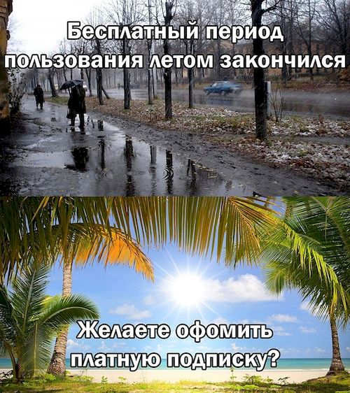 ���� ���������