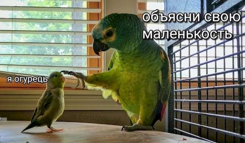 ����������� �������