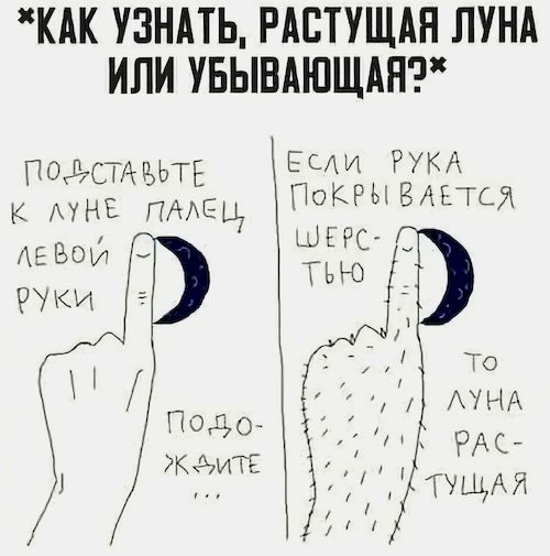 �������� ����
