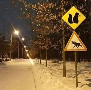 ����� ����� ����