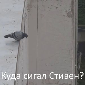 ���� ����� ������?