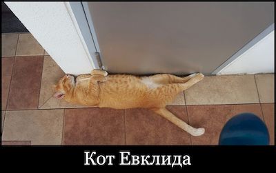 ��� �������