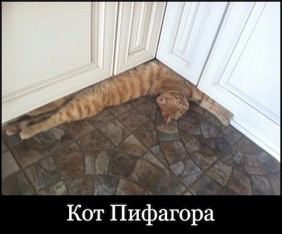 ��� ��������