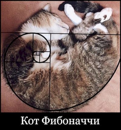 ��� ���������