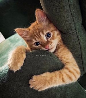 ���