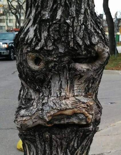 ������